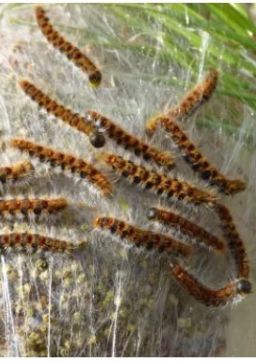 Mairie de Dampierre-sur-Salon