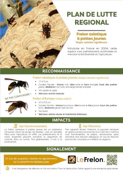 Lutte contre le frelon asiatique